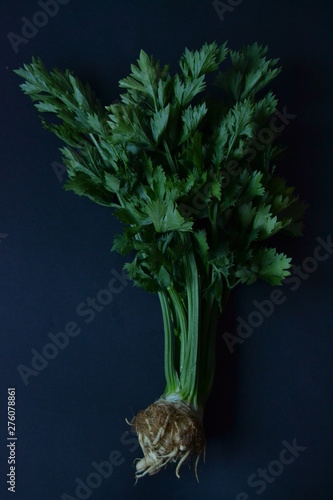 young root celery on the dark background