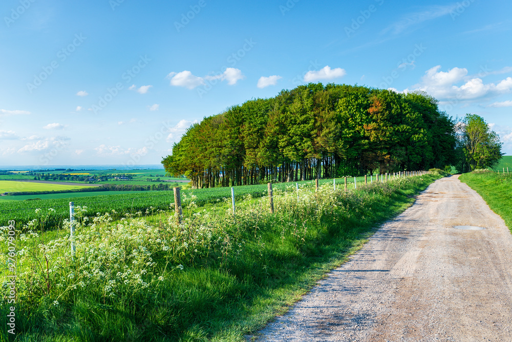 The Ridgeway long distance walking trail as it traverses Hackpen Hill The Ridgeway long distance walking trail as it traverses Hackpen Hill