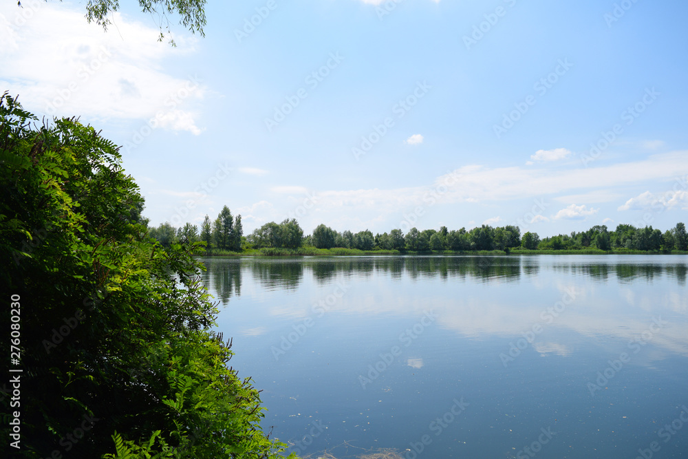 Obraz premium View through green plants on the lake in nature. Summer landscape.