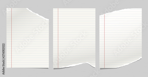 White ripped, lined notebook, copybook paper sheets are on grey background. Vector illustration