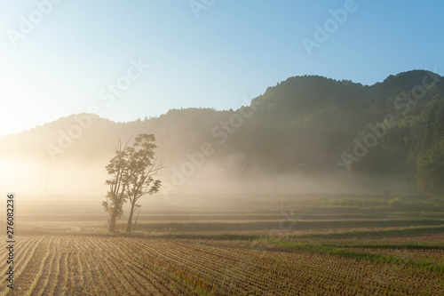 収穫を終えた田園に発生した霧