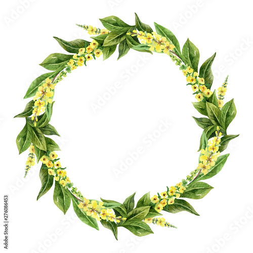 Watercolor vector hand painted wreaths with Mullein .