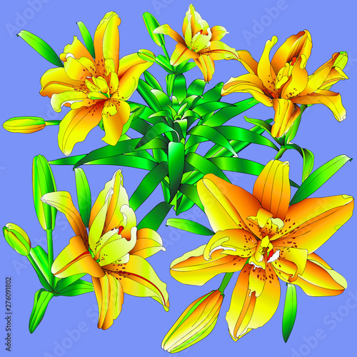 Lily FATA MORGANA - charming, lemon yellow, terry looks great in a pattern.
