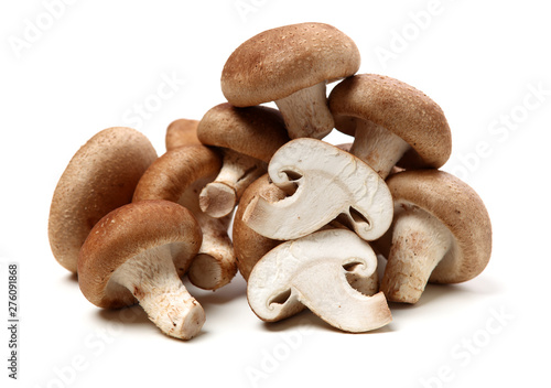 Shiitake mushroom on the White background 