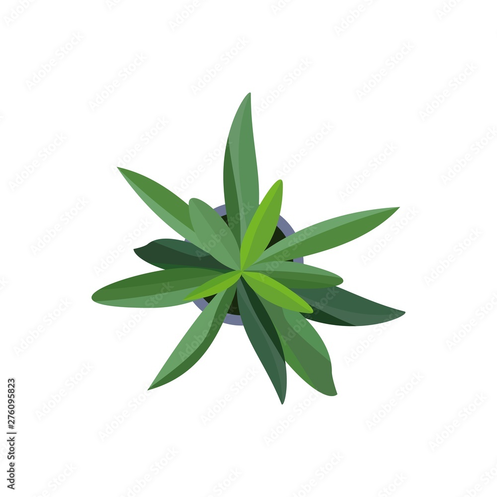 Top view. Green plants easy copy paste in your landscape design projects or architecture plan. Isolated flower on white background. Vector
