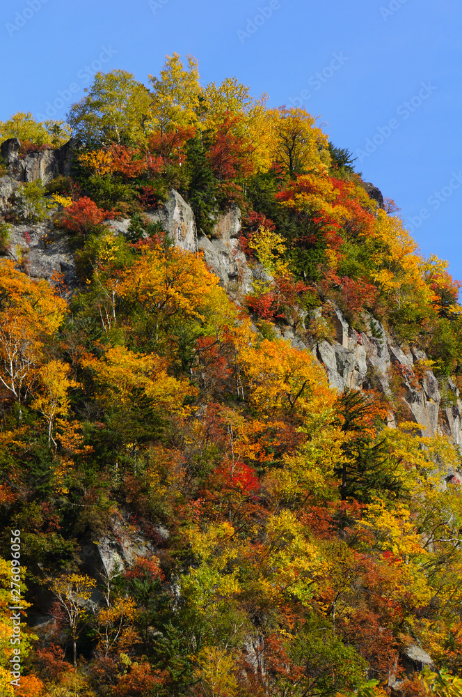 層雲峡の紅葉