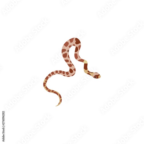 Tropical snake isolated on white background. Vector