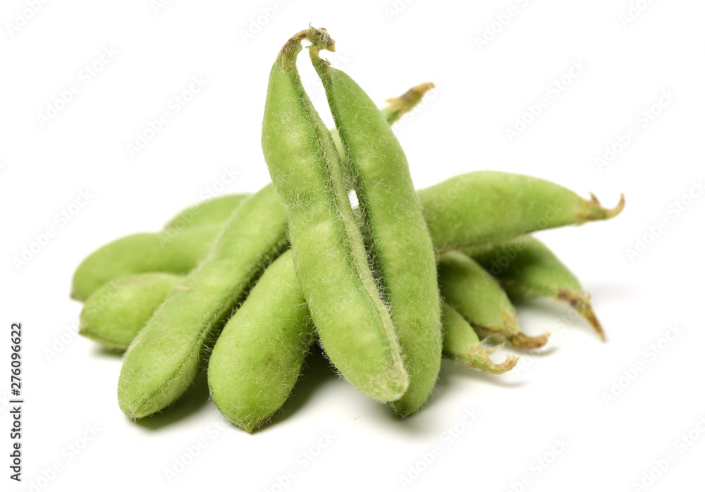 Fresh harvested soybean (edamame) plant isolated on white background Fresh harvested soybean (edamame) plant isolated on white background