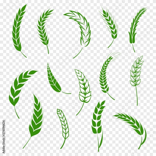 Set of simple green wheats ears icons and wheat design elements for beer, organic or local farm fresh food, bakery themed wheat design, grain, beer elements, rye simple. Vector illustration eps10