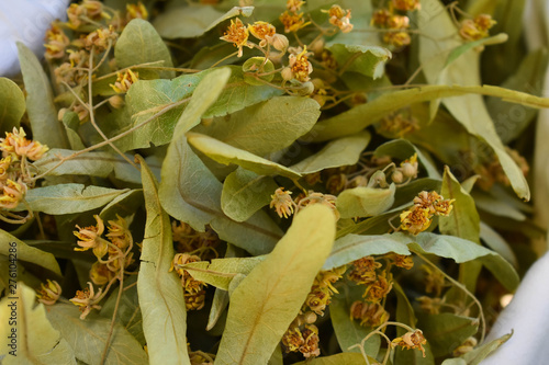 Fresh flowers and leaves of linden.  herbal medicine, Cup of healthy linden tea with honey. Dried linden flowers