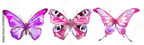 beautiful pink blue butterfly,watercolor,isolated on a white background