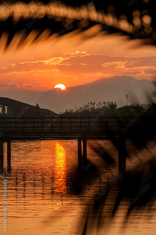 sunset through palm tree leaves, bridge and mountains