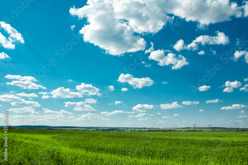 Wide spring green field with blue sky and clouds