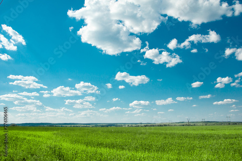 Wide green field with blue sky and clouds.