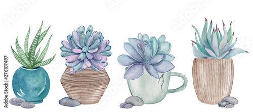 Set of watercolor hand-drawn illustrations with succulents in pots. Watercolor graphic for fabric, postcard, wedding or greeting card, book, poster, tee-shirt, banners, emblems, logo. Illustration.