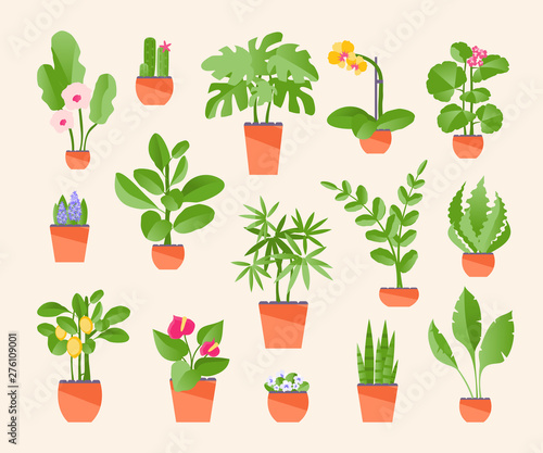 Set of houseplants vector