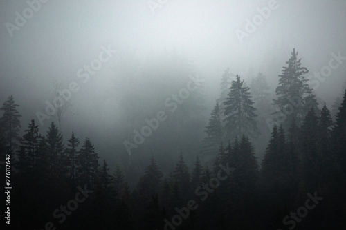 Misty landscape with fir forest in hipster vintage retro style © Tomas