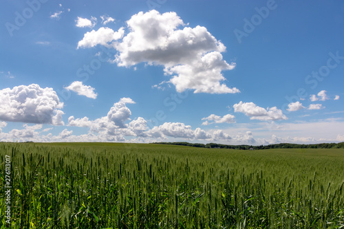 R  gen   green field sky