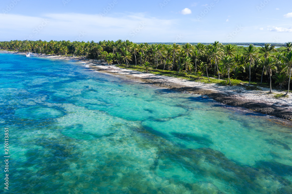 Aerial view from drone on tropical island with coconut palm trees and turquoise caribbean sea