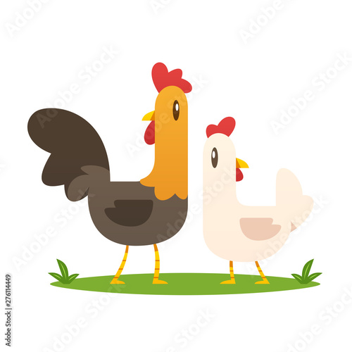 Cartoon rooster and hen chicken vector isolated illustration