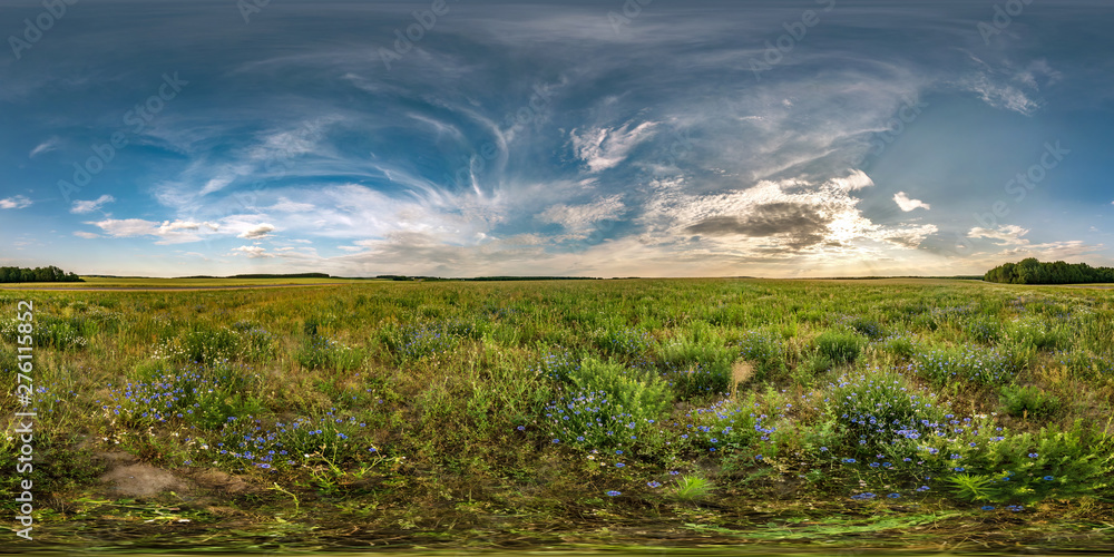 Obraz premium full seamless spherical hdri panorama 360 degrees angle view among cornflowers fields in summer evening sunset with beautiful clouds in equirectangular projection, ready VR AR virtual reality content