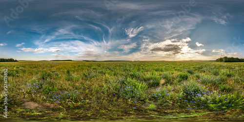 full seamless spherical hdri panorama 360 degrees angle view among cornflowers fields in summer evening sunset with beautiful clouds in equirectangular projection  ready VR AR virtual reality content