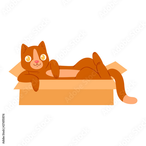 Cat in box vector kitty pet character domestic animal kitten in boxed gift illustration feline set of pussycat hidding in package isolated on white background