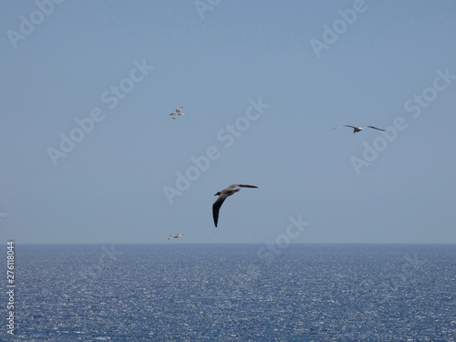 Gaviotas volando y surcando el cielo azul con el fondo del azul mar mediterráneo
