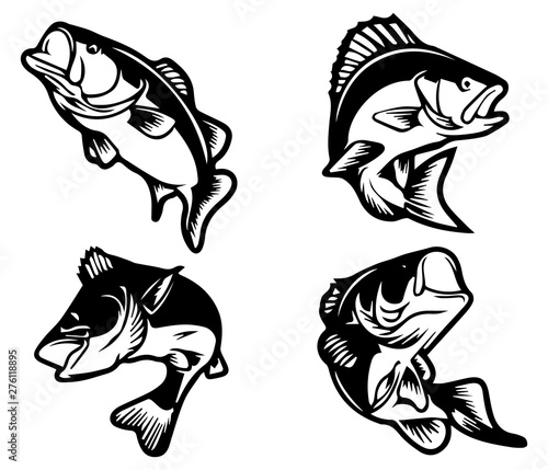 bass fish icons isolated on white background. Design element for logo, label, emblem, sign, brand mark. Vector illustration.