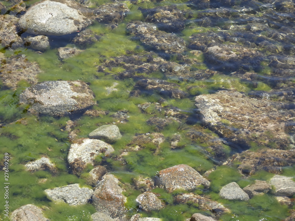 Vista interior del agua de una cala, se ven las piedras, las rocas debajo del agua, agua transparente y cristalina