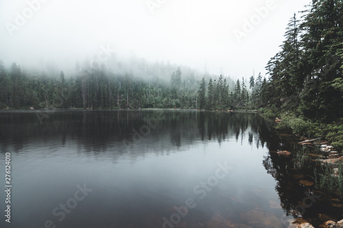 Moody lake and forest in background with solid fog © Tomas