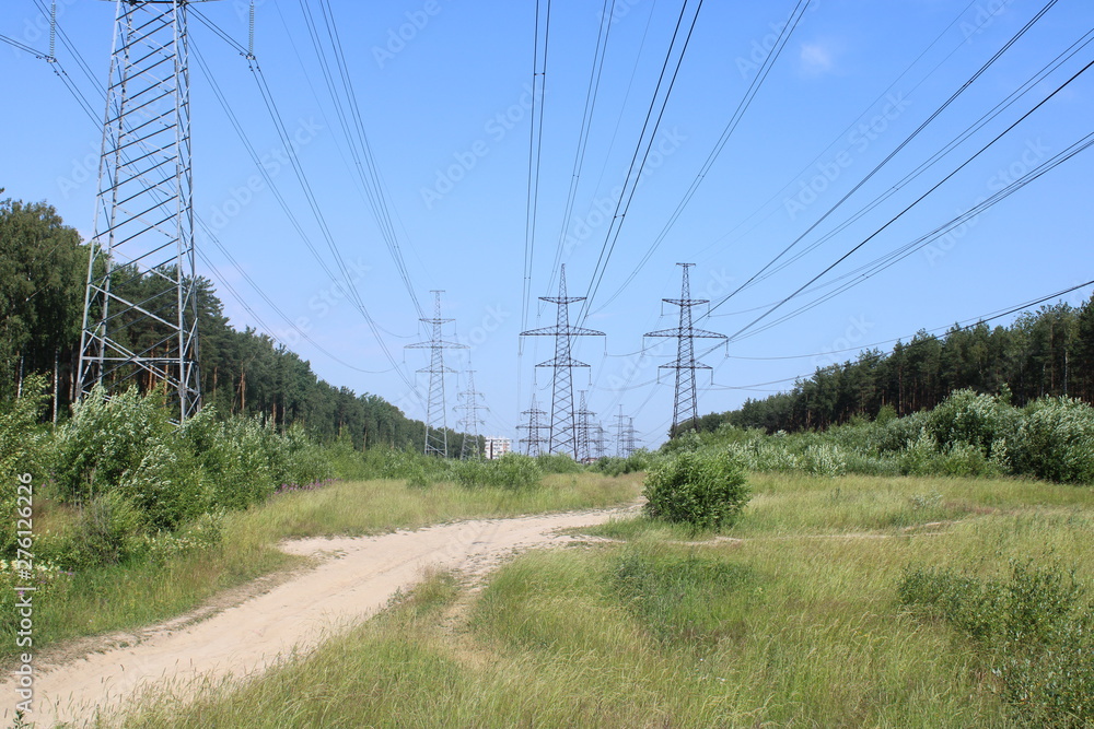 line of high-voltage wires in the forest