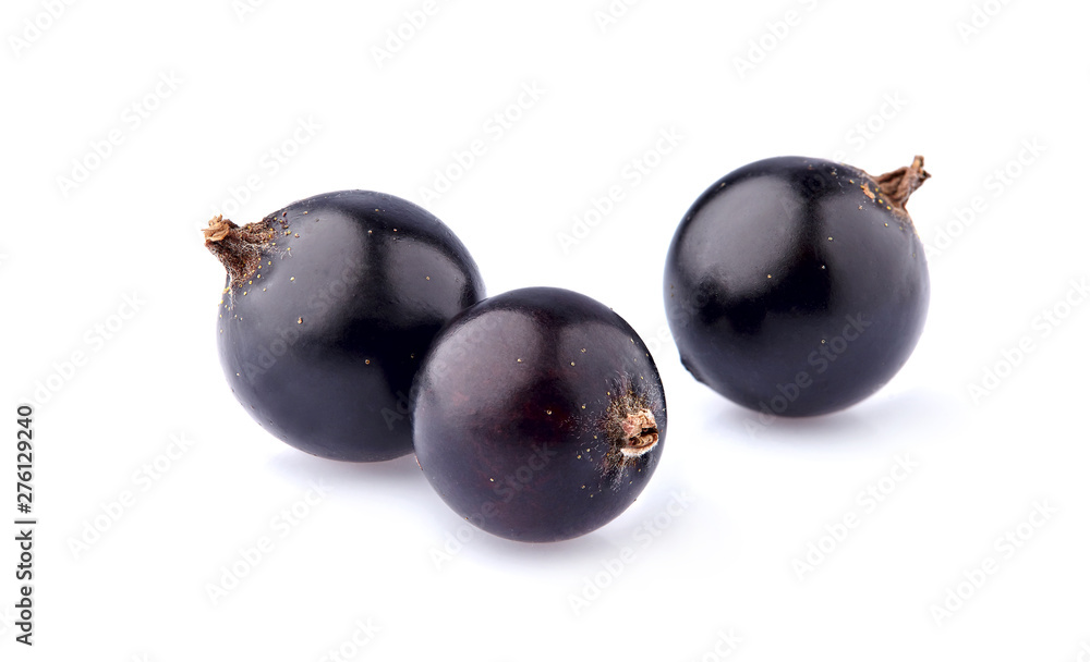Black currant berries on White Background isolated Black currant berries on White Background isolated