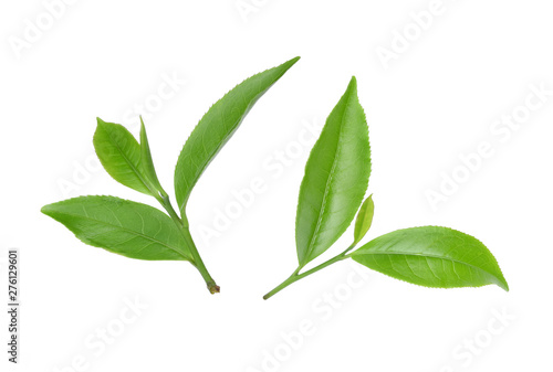 green tea leaf isolated on white background © Chaaim