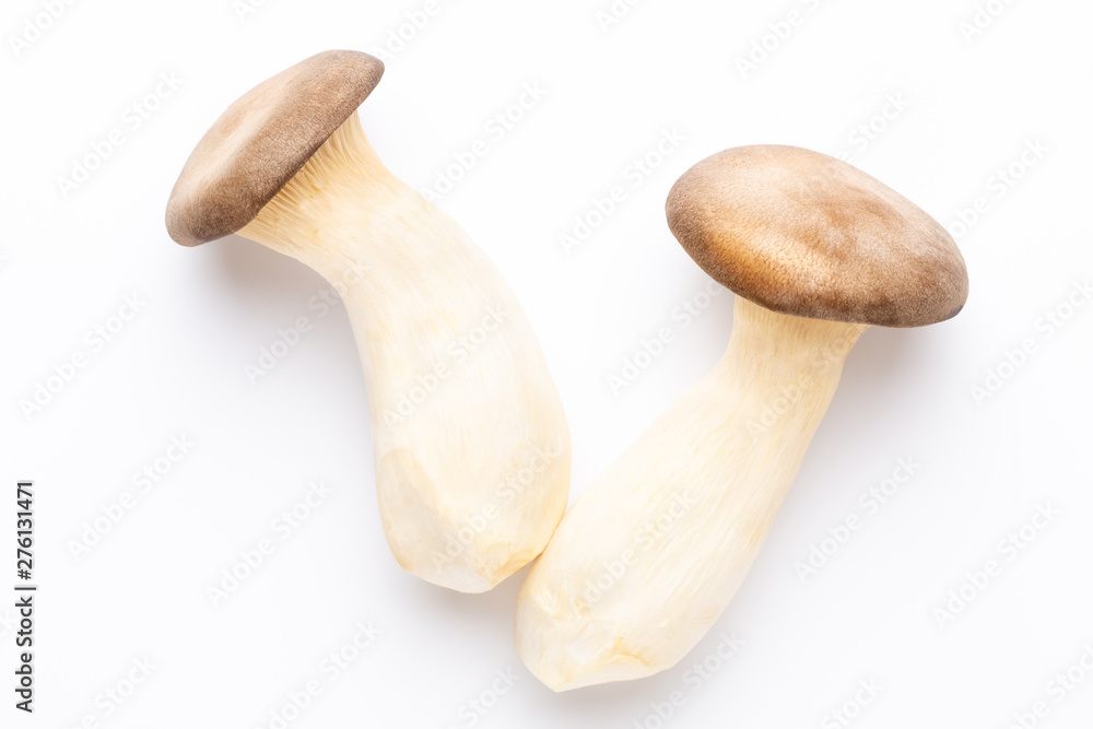 King oyster mushroom on white background. King oyster mushroom on white background.