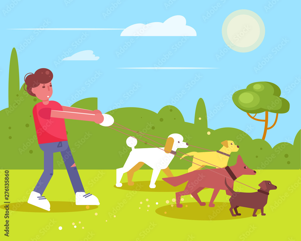 Dog walking services Man walks with four dogs