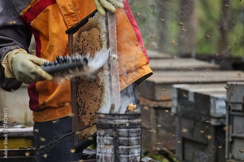 farming honey bees