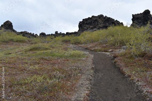 The lava field Dimmu Borgir in Myvatn, Iceland photo