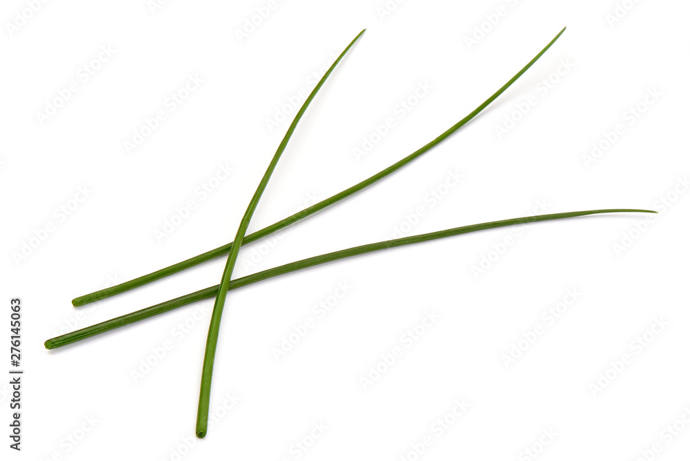 Fresh green onions or chives, close-up, isolated on white background Fresh green onions or chives, close-up, isolated on white background