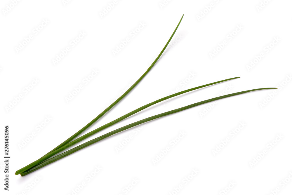 Fresh green onions or scallions, close-up, isolated on white background Fresh green onions or scallions, close-up, isolated on white background