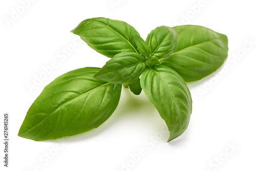 Fresh Green Basil Leaf  close-up  isolated on white background