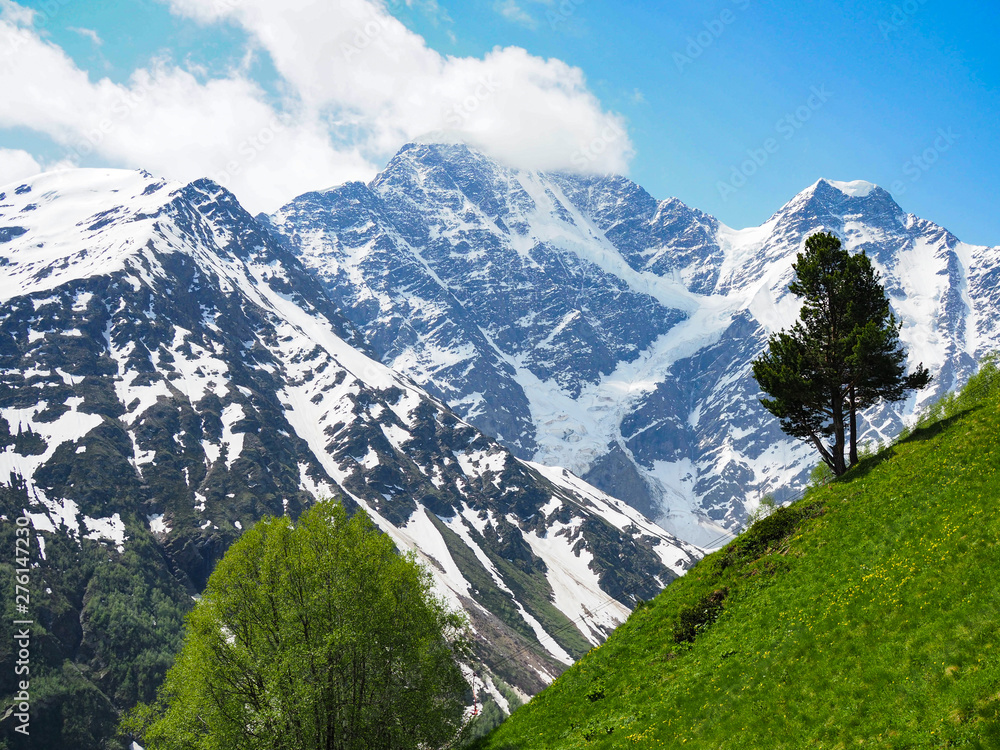very beautiful mountain landscape with views of the meadow tree and rocky mountain with a glacier, which is visible figure 7. Wonder of nature. very beautiful mountain landscape with views of the meadow tree and rocky mountain with a glacier, which is visible figure 7. Wonder of nature.