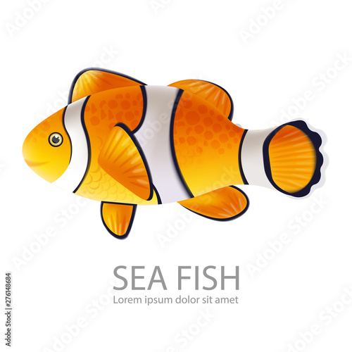 Gold fish Vector realistic isolated on white. Detailed marine life fishs