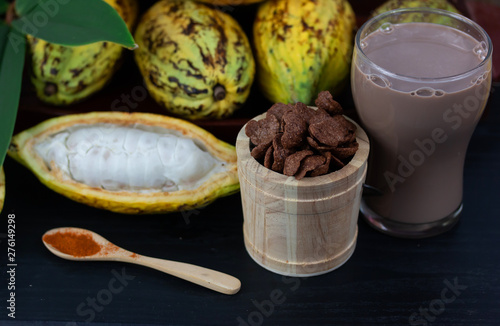 Fresh cacao fruit with cocoa crunch  Products Production from cacao  on table