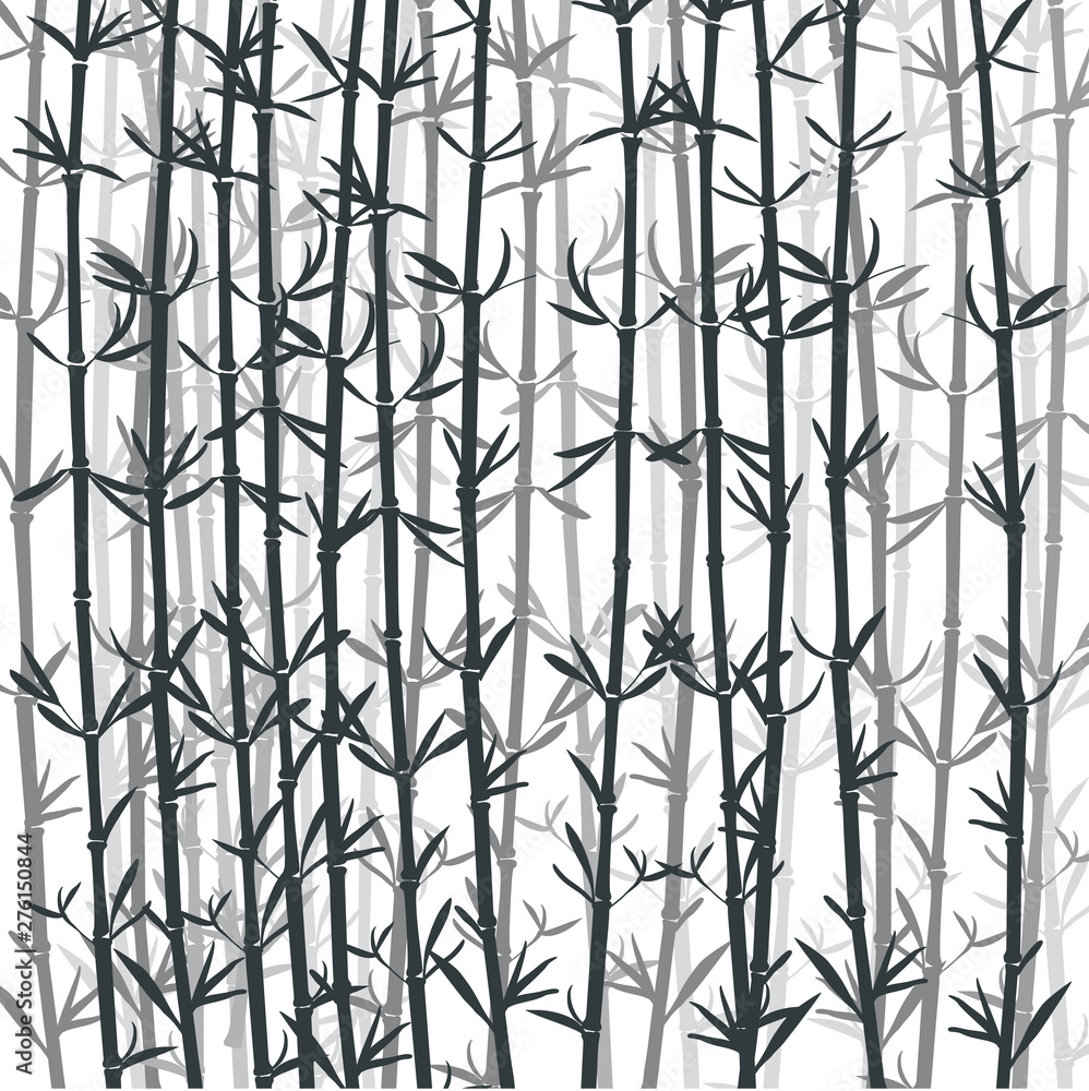 Naklejka Tło las bambusowy. Czarno-biały bambusowy las z liśćmi