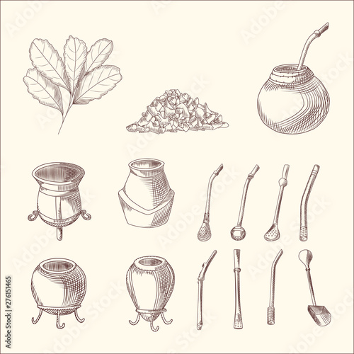 Set of yerba mate tea branch, calabash and bombilla. Mate tea leaf.