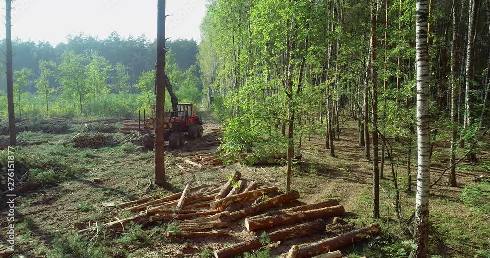Timber loading, loading logs into a truck, timber processing ...