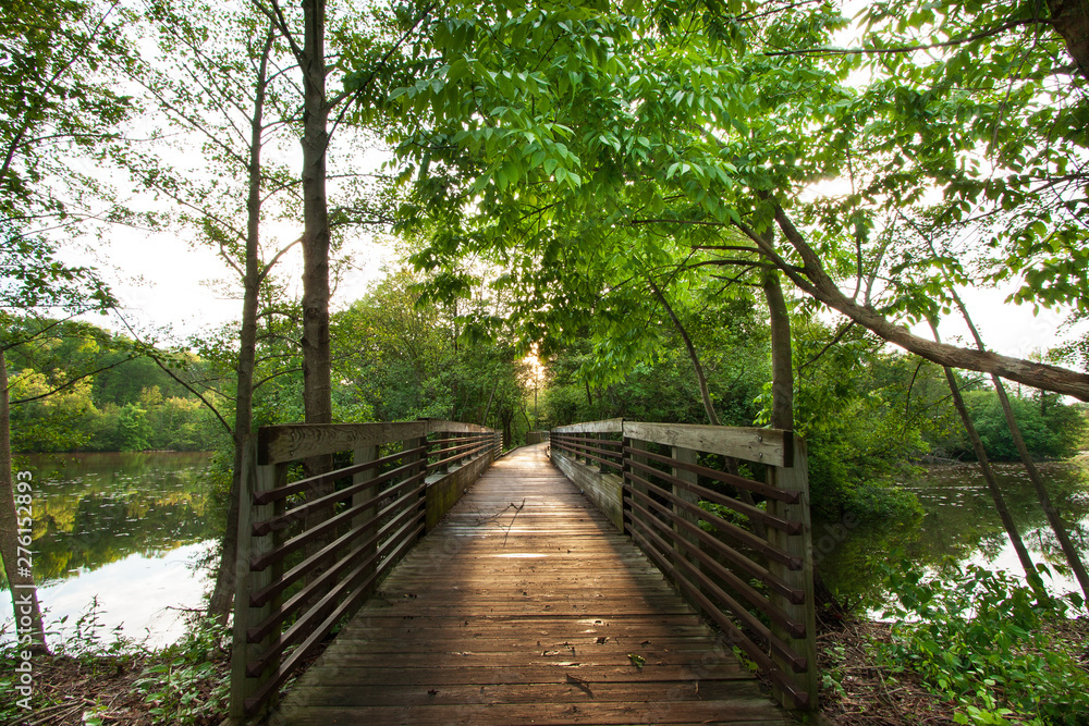 wooden bridge in forest