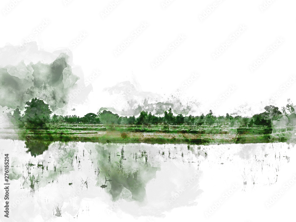Obraz Abstrakcjonistyczny kolorowy piękny zieleni pola krajobraz i drzewo w ranku przy Tajlandia na akwarela obrazu ilustracyjnym tle.