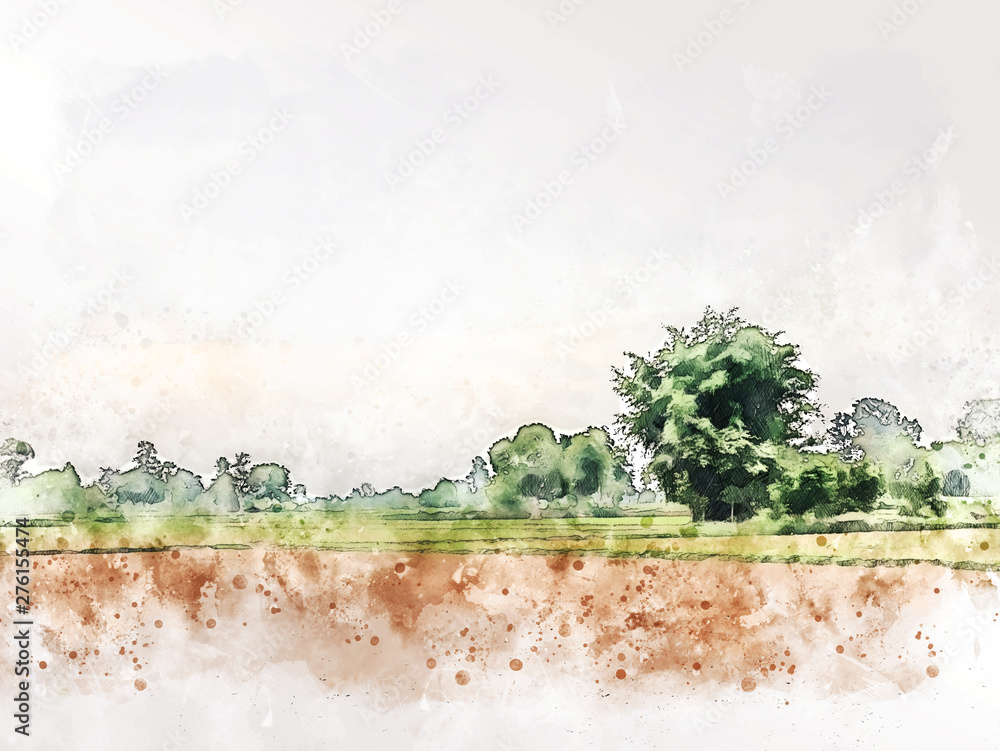 Obraz Streszczenie colofrul drzewo ziemi krajobraz pola na tle akwarela ilustracja malarstwo.